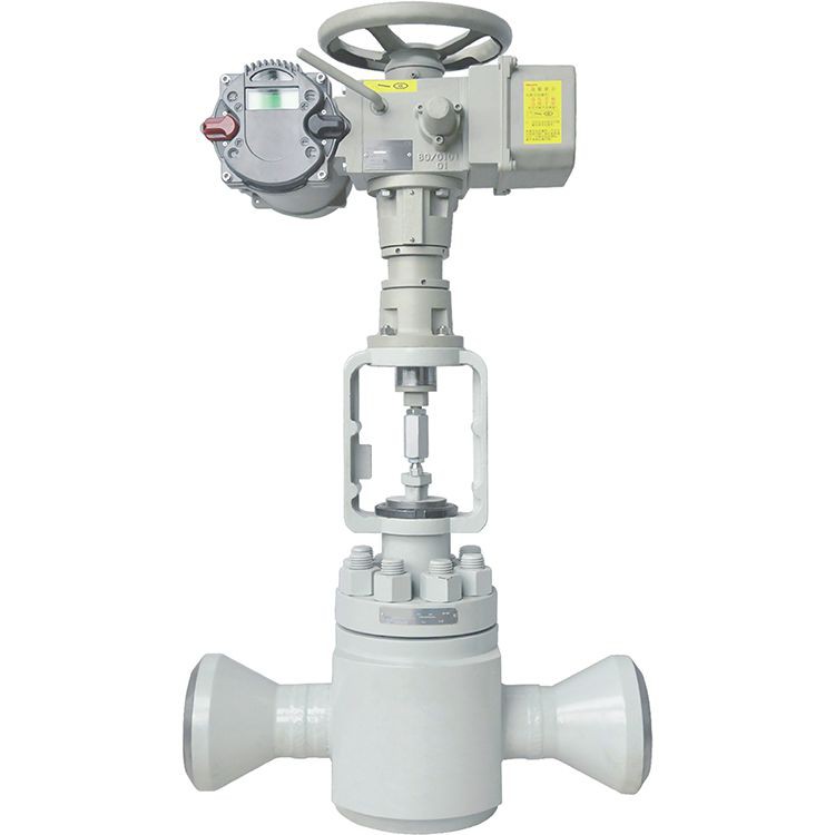 Electric Noise Reduction Cage Guided Control Valve